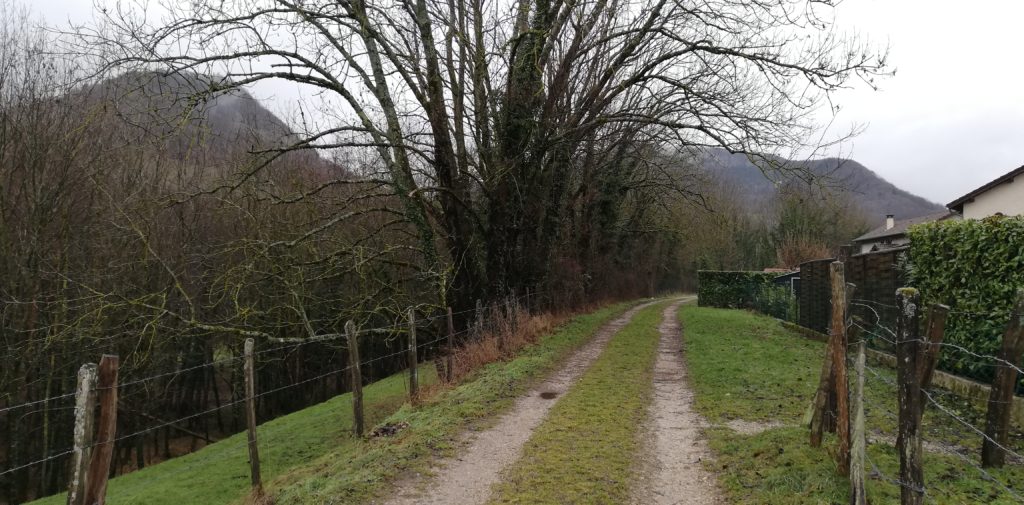 Chemin De LErinier 1 1024x505