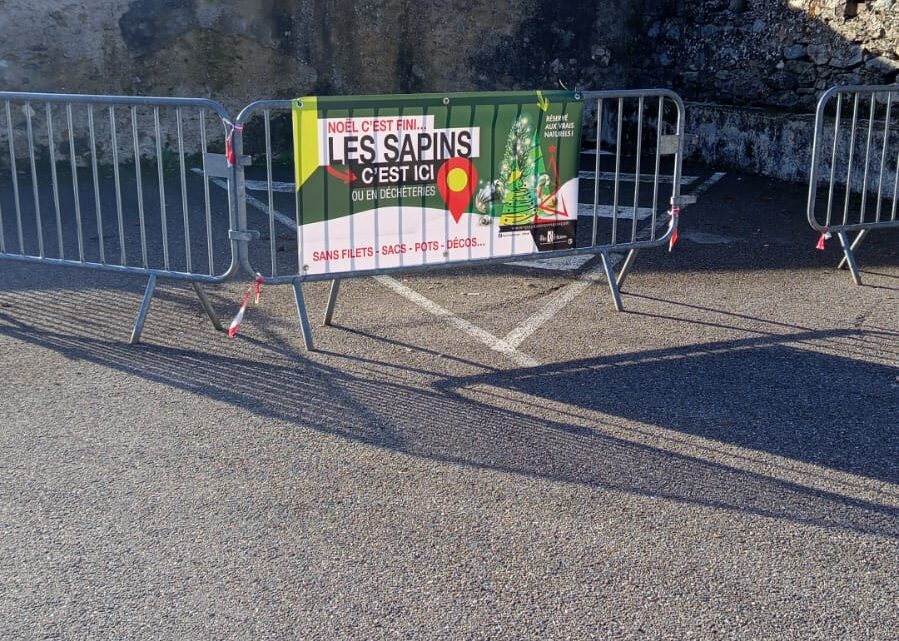 Collecte des sapins de Noël