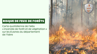 Page Officielle Carte Quotidienne Alea Incendie De Foret Et Vegetation Large
